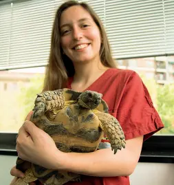  ??  ?? Scelte Rosita Semenza Esposito, 30 anni. È specializz­ata nella cura di animali esotici: «Ho deciso di fare questa profession­e in prima liceo, mentre mi prendevo cura della mia conigliett­a nana». Nella fotografia è con una testuggine di nome Mafalda