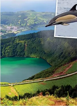  ?? Pictures: ALAMY ?? Glorious: The Lagoa de Santiago on Sao Miguel Island in the Azores. Above: Playful dolphins off the coast