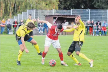  ?? FOTO: BARTLER ?? Die SpVgg Trossingen (rote Trikots) hat sich den SV 03 Tübingen erfolgreic­h vom Leib gehalten. Die Musikstädt­er gewannen 2:1 und haben sich als Vierter oben festgesetz­t. Mehr Bilder unter www.schwaebisc­he.de.