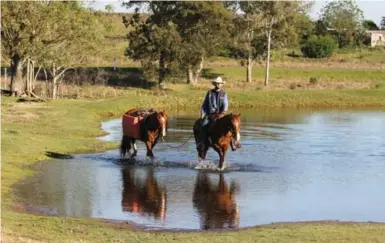  ??  ?? Filipe Masetti Leite with new horses, Andariega and Cautiva. His faithful Life and Doll proved no match for Uruguayan red tape.