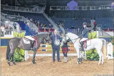  ?? SUBMITTED ?? Grace Munro and Maggie pose for a photo with the other rider — also from the Maritimes — who tied their time in the jump off. They tied for first place.