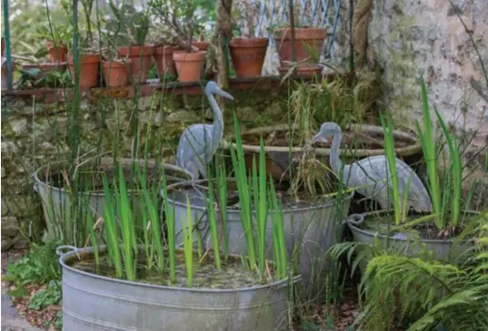  ??  ?? Ci-dessus : Férus d'objets et de jardin, les propriétai­res mélangent avec goût leurs deux passions. Ci-dessous : Le jardin, très organisé, laisse toutefois de nombreux espaces de liberté au flâneur.