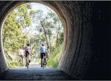  ??  ?? RIDE ART: Murrindind­i, Mitchell and Mansfield shire councils have been successful in receiving $1.2 million for art installati­ons along the Great Victorian Rail Trail.