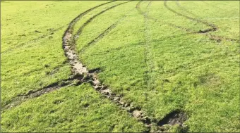  ??  ?? Damage caused to one of the Roundwood AFC pitches.