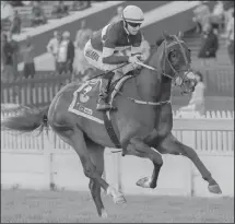  ?? Picture: Candiese Marnewick ?? MATADOR MAN, with Anton Marcus up, wins the Racing. It's A Rush Pinnacle Stakes for trainer Sean Tarry at Greyville yesterday. (12.20) - ITSARUSH.CO.ZA WELCOMES YOU MAIDEN PLATE (F &amp; M) of R58000 over 1400m (13.20) - TAB PAYS THE FULL DIVIDEND, NO LIMITS MR 65 HANDICAP of R48000 over 1600m