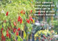  ??  ?? Chilli varieties from around the world can be sampled at next month’s festival