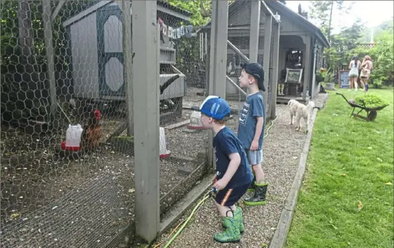  ?? Nate Guidry/Post-Gazette photos ?? Henry Vestel, 3, and his brother Max, 5, watch chickens at Chick Inn at Choderwood in Highland Park.