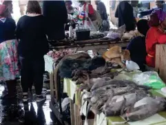  ?? (AFP/Getty) ?? A market where pangolin and other bushmeat are sold in Libreville, Gabon