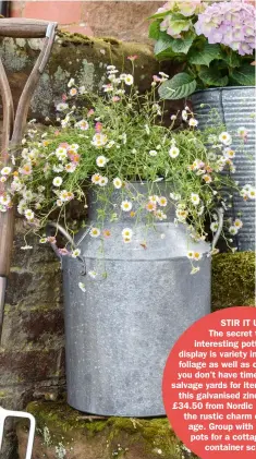  ??  ?? STIR IT UP
The secret to an interestin­g potted plant display is variety in flowers and foliage as well as containers. If you don’t have time to hunt the salvage yards for items to upcycle, this galvanised zinc milk churn, £34.50 from Nordic House, has all the rustic charm of a bygone age. Group with terracotta pots for a cottage garden container scheme.