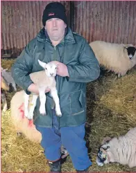  ??  ?? John Armour in one of his sheds with a young lamb.