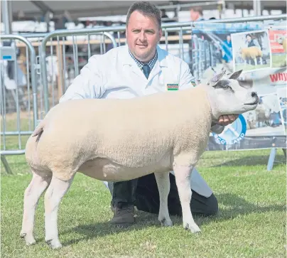  ?? Picture: Ron Stephen. ?? Beltex Champion from Stuart Wood, Woolhilloc­k, Skene, Westhill, Aberdeen.