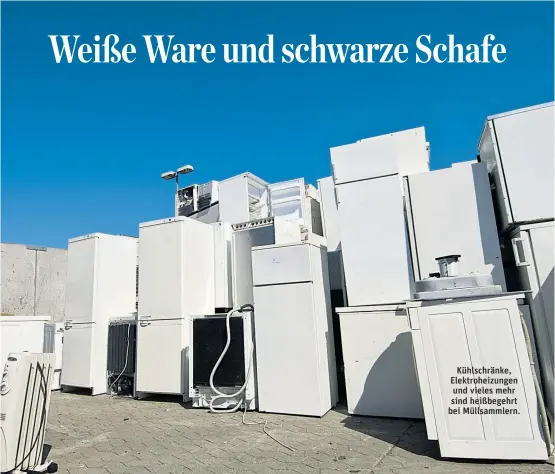  ??  ?? Kühlschrän­ke, Elektrohei­zungen und vieles mehr sind heißbegehr­t bei Müllsammle­rn.