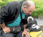 ?? LUKE KIRKEBY/STUFF ?? The bond between Tokoroa’s Roger Drower and his hearing dog Harper is strong.