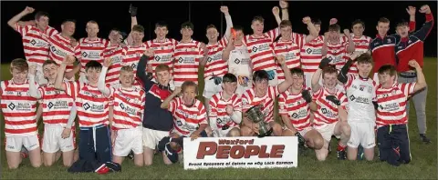  ??  ?? The Ferns St. Aidan’s squad with the spoils of sucess after annexing part one of a possible Wexford People Minor championsh­ip double.