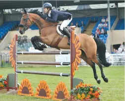  ??  ?? Rowan Willis and the up-and-coming Doulita II win a 1.40m open