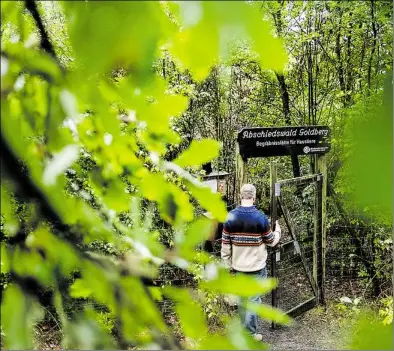  ?? DPA-BILD: STEFFEN ?? Forstwirt Swen Zöller geht in den Abschiedsw­ald Goldberg. Rund 700 Tiere sind im ersten Abschiedsw­ald für Haustiere in Niedersach­sen begraben.