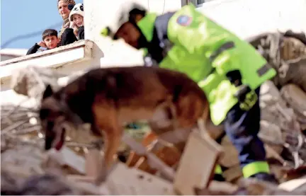  ?? ?? Residents of a still standing building watch as an Emirati rescuer, with the help of a dog, searches for victims amidst the rubble of a collapsed building. (AFP)