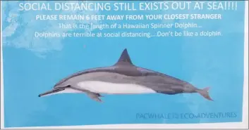  ??  ?? Social distancing measures are employed aboard Pacific Whale Foundation vessels with whale watch tours resuming with boats limited to 50 percent capacity.