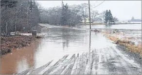  ??  ?? Another spot on the Rocco Point Road where flooding occurs.