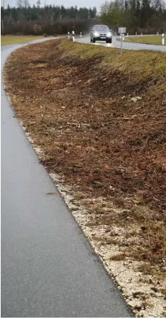  ?? Foto: Andreas Brücken ?? An vielen Stellen im Landkreis Neu Ulm wurden Bäume und Sträucher zurückge schnitten – wie hier entlang des Radwegs vom Nersinger Ortsteil Straß in Richtung Sielheim (Landkreis Günzburg).