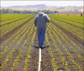  ?? Gary Coronado Los Angeles Times ?? WALMART has told its produce suppliers to use blockchain, a democratiz­ed way of accounting that is not centralize­d. Above, a lettuce farm in Gilroy, Calif.