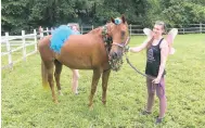  ?? DONOVAN CONAWAY/ CAPITAL GAZETTE ?? Taylor Bendlin volunteers at The Big Purple Barn. The Big Purple Barn decided to do a limited event to celebrate unicorns on Sunday.