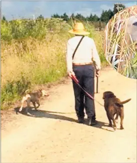  ?? PICTURES/SUPPLIED ?? Lex taking shelter behind Garry Moran as the dog moves in to attack. Inset: The dog that attacked a labrador in Kaikohe last week, possibly awaiting its next “victim”.