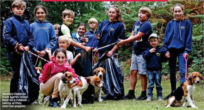  ??  ?? Walkies! Children from Surrey Union Hunt do a rubbish sweep as they exercise puppies