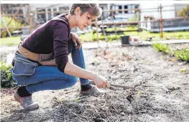  ??  ?? Ertl-Marko: „Mulchen ist das Um und Auf in Zeiten des Klimawande­ls“