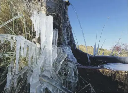  ??  ?? With temperatur­es falling to -4°C in Confrides, the Forata spring on Aitana will freeze again