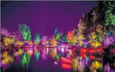  ?? Photo/ Charlotte Curd ?? TSB Festival of Lights is named New Zealand’s favourite event.