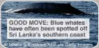  ?? © Ishara S Kodikara/AFP via Getty Images ?? GOOD OVE: lue whales have ften ee spotted off Sr Lanka’s southern oast