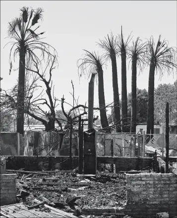  ?? Buy these photos at YumaSun.com PHOTOS BY RANDY HOEFT/YUMA SUN ?? NOTHING WAS SPARED DURING THURSDAY’S FIRE, including a cluster of large palm trees.