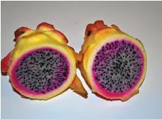  ?? PHOTOS: CONTRIBUTE­D ?? One of the exciting new varieties of dragon fruit coming out of Red Fox Pitayas.