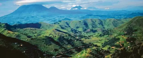  ??  ?? Die Virunga‰Vulkane von der ugandische­n Seite aus. In diesem Gebiet leben die Berggorill­as, die auch durch Dian Fosseys Forschunge­n bekannt wurden.