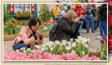 ?? PHOTO COURTESY OF PHS ?? Visitors to the 2016 Flower Show take photos of tulips, the highlight of the 2017 show.