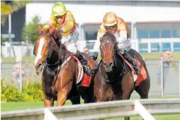  ?? Photo / Trish Dunell ?? Cherry Lane (right) defeats a game Masetto at Te Rapa to complete a winning double for trainer Nick Bishara.