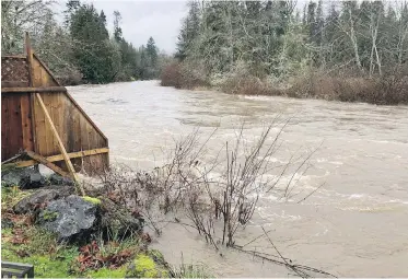  ??  ?? The Little Qualicum River rose over its banks during recent heavy rains.