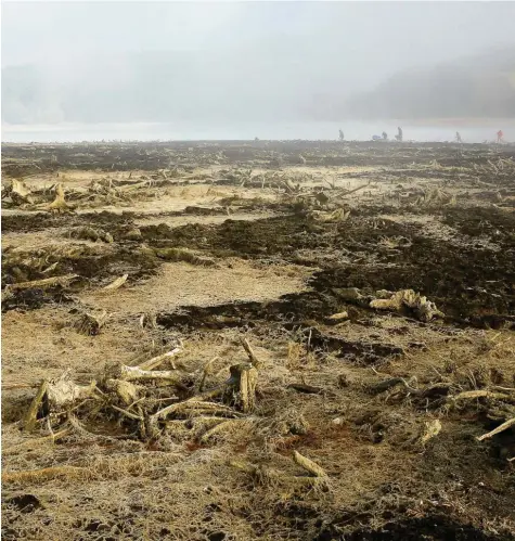  ?? Fotos: Matthias Becker ?? Eigentlich sollte hier alles voller Wasser sein. Doch das hat sich so weit zurückgezo­gen, dass der Rottachsee stellenwei­se einer Mondlandsc­haft gleicht. Für die Muscheln ist das ein großes Problem. Sie stranden im Schlamm und sterben, wenn sie nicht gerettet werden.