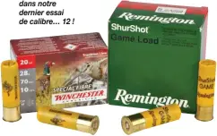  ??  ?? La Winchester Special Fibre et la Remington Shurshot arrivent cinquième. Oui, mais elles auraient figuré en bonne place dans notre dernier essai de calibre… 12 !