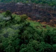  ?? DR ?? As queimadas têm sido uma preocupaçã­o dos ambientali­stas