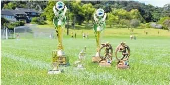  ?? ?? Trophies are up for grabs in the upcoming Hawke’s Bay-based Ethnic Communitie­s Tennis Ball Cricket Tournament.