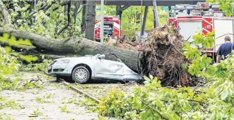  ?? FOTO: ANDREAS SADRINA ?? In Duisburg stürzte ein großer Baum auf einen parkenden Pkw und zerdrückte ihn vollständi­g. Feuerwehr und freiwillig­e Helfer versuchen mit Sägen, den Baum zu verkleiner­n und aus dem Weg zu räumen.