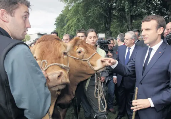  ??  ?? Svestran Predsjedni­k Macron završio je filozofiju i ekonomiju, radio je kao bankar, a u kampanji razgovara sa svima, od seljaka do akademika