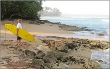  ?? DANICA COTO/AP PHOTO ?? A surfer studies the waves earlier this year at Wilderness Beach, in Aguadilla, a lush corner in northwest Puerto Rico.