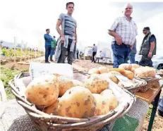  ?? RP-FOTO: JÖRG KNAPPE ?? Beim Kartoffelt­ag der Familie Weuthen in Schwalmtal wurden an die 200 verschiede­nen Sorten der Knolle präsentier­t.