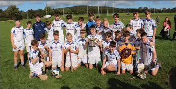  ??  ?? Wicklow’s under-13 ‘A’ hurling champions for 2019: Éire Óg Greystones.