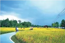  ?? PROVIDED TO CHINA DAILY ?? A section of Chengdu’s greenways extends into rural areas.