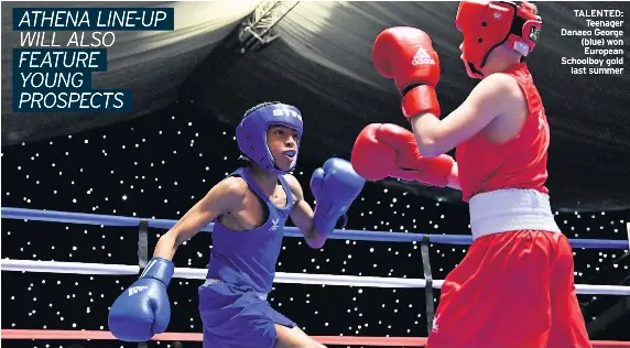 City s heavyweights in the spotlight for Ultimate show PressReader