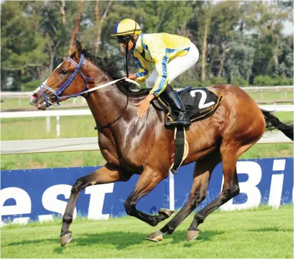  ??  ?? HERITAGE HOPEFUL: Noble Secret is one of two runners from the Mike de Kock yard who have been entered for the World Sports Betting Grand Heritage, to be run over 1475m at the Vaal on 29 September.